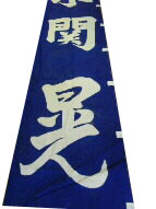 拡大画像