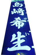 拡大画像